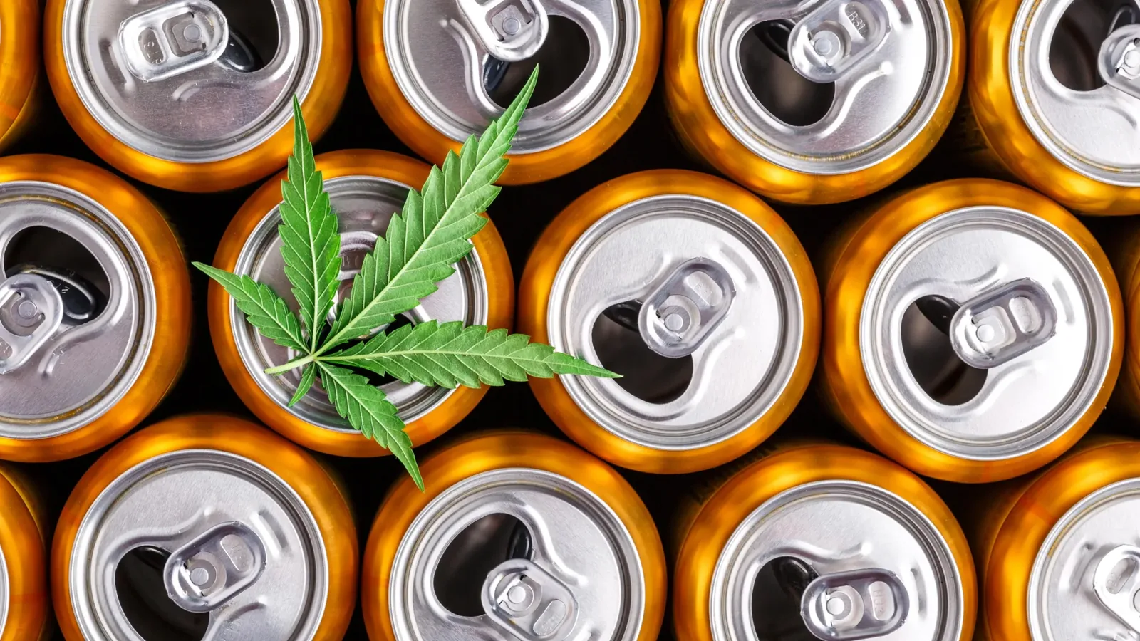 Cannabis Drinks Slash Alcohol Intake by Nearly Half in Study